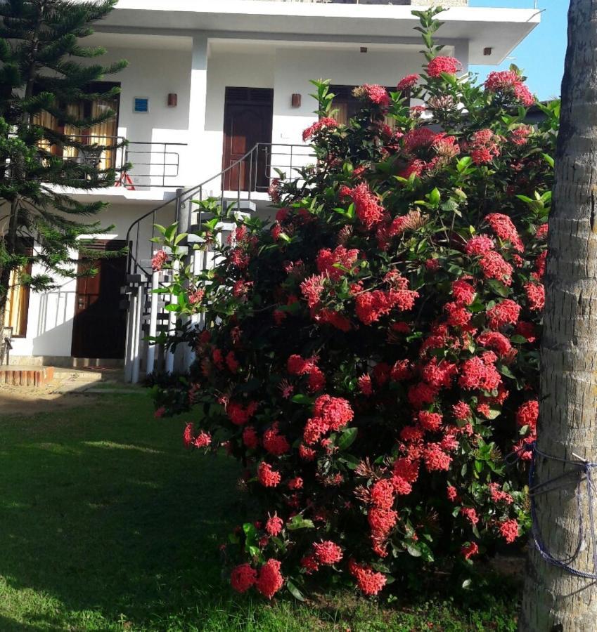 Dreamvillage Dodanduwa المظهر الخارجي الصورة