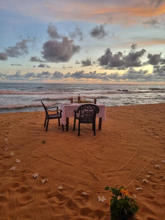 Dreamvillage Dodanduwa المظهر الخارجي الصورة