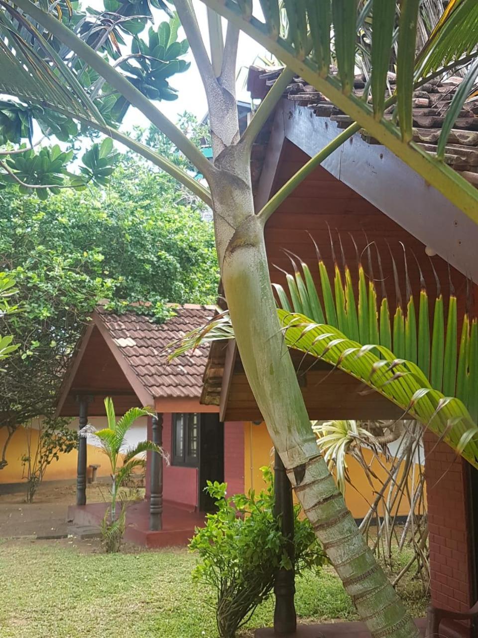 Dreamvillage Dodanduwa المظهر الخارجي الصورة