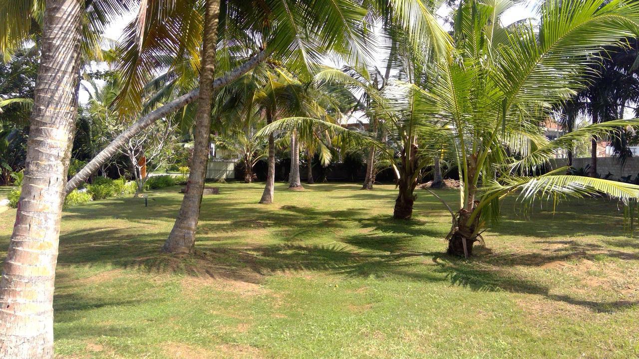 Dreamvillage Dodanduwa المظهر الخارجي الصورة